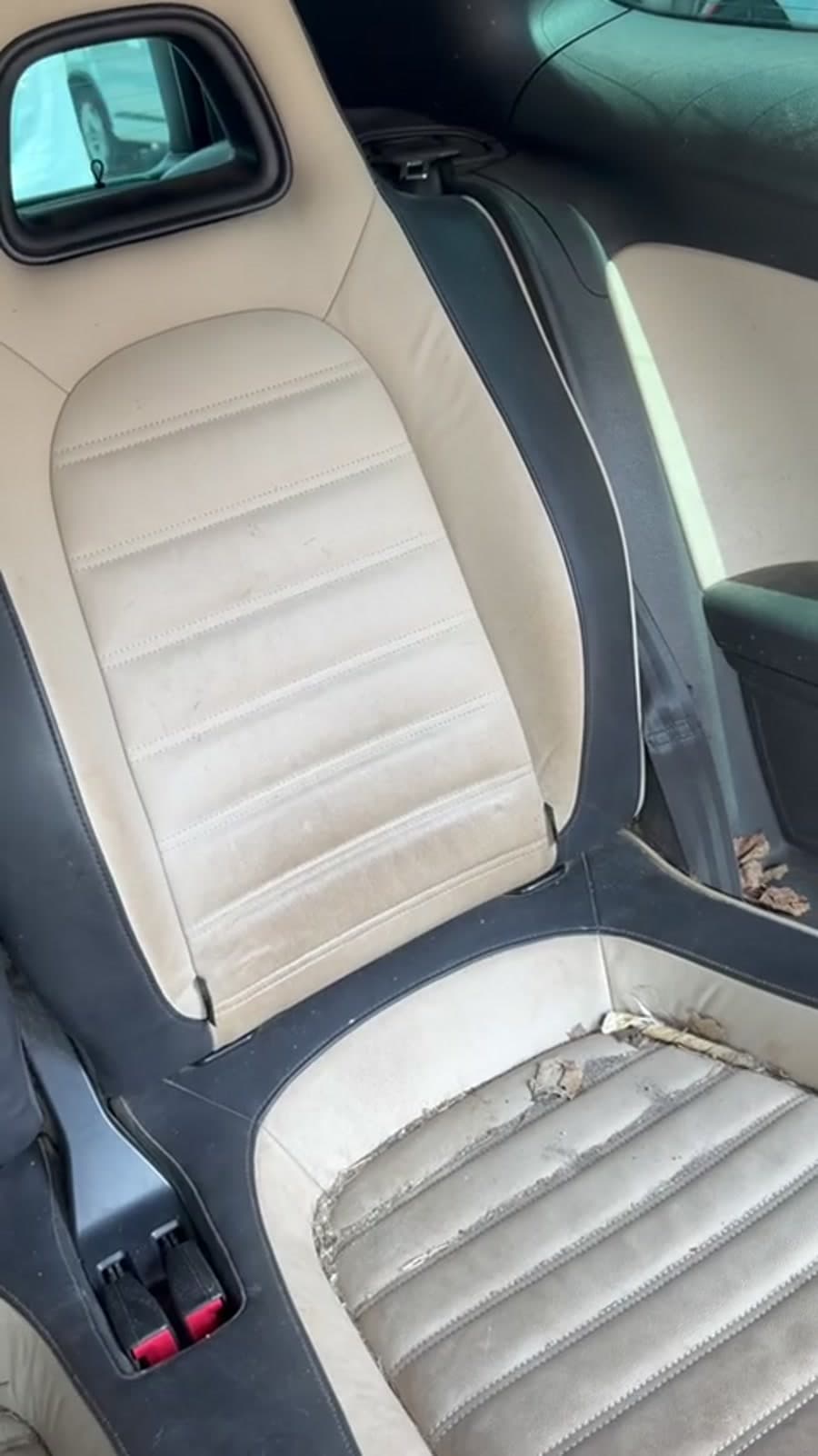 Siège beige et noir très sale avant traitement