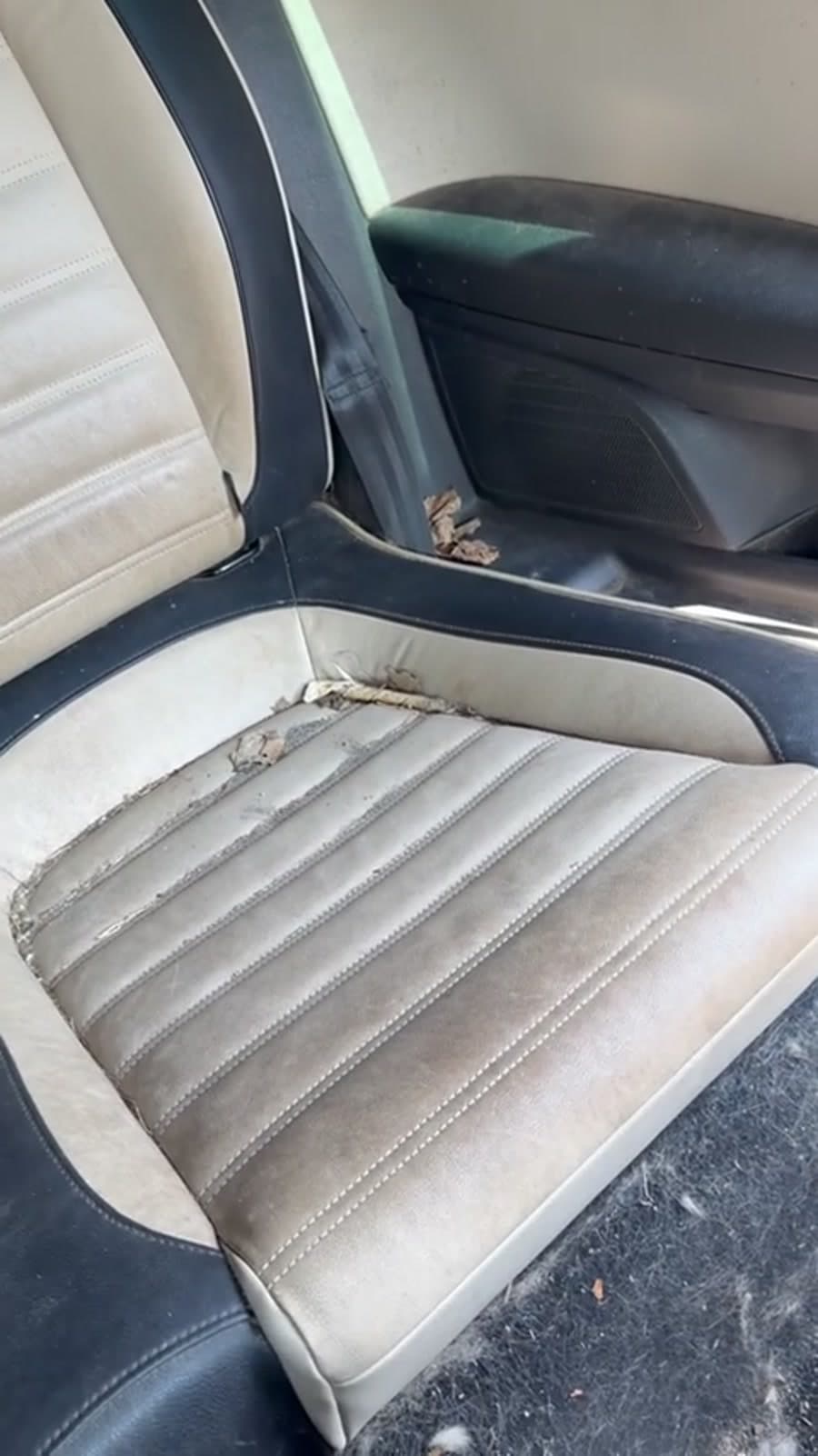 Siège beige avec taches et saleté incrustée avant nettoyage approfondi